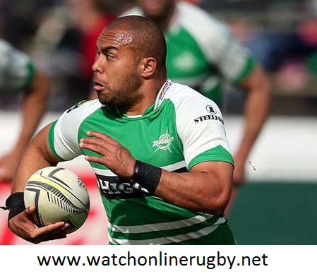Wellington vs Manawatu Live Stream