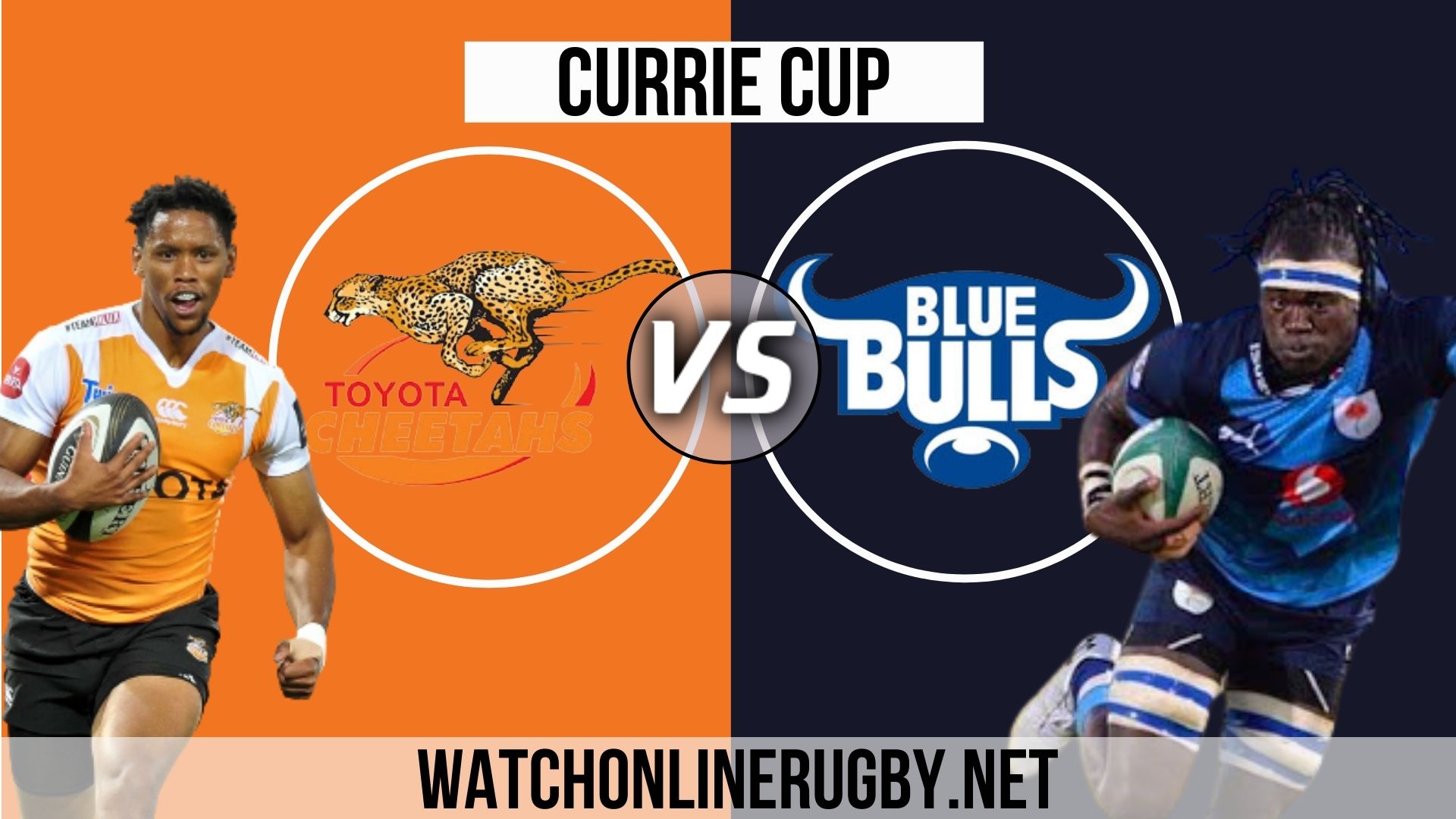 Cheetahs Vs Bulls Live