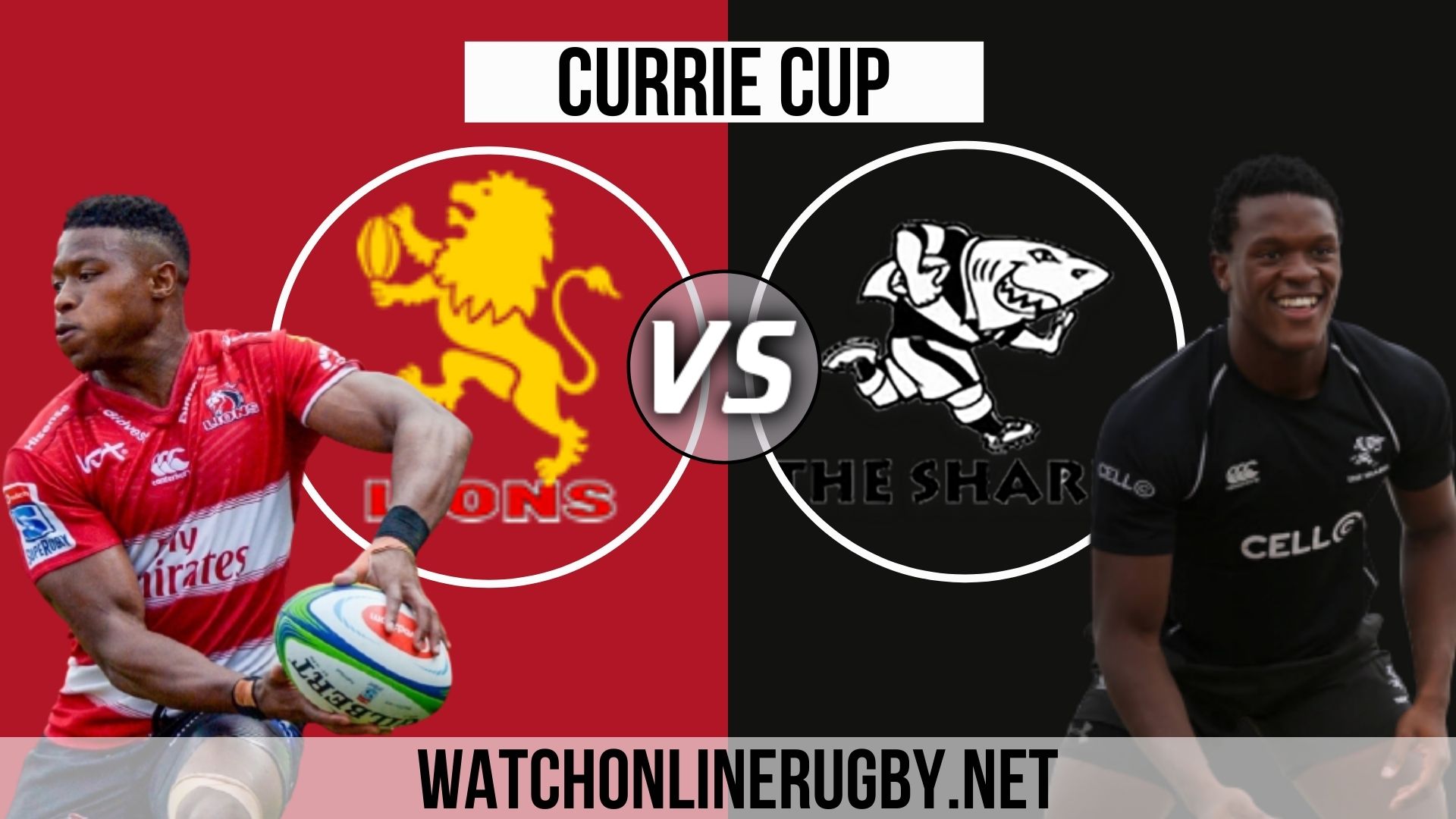 Lions Vs Sharks Rugby Live