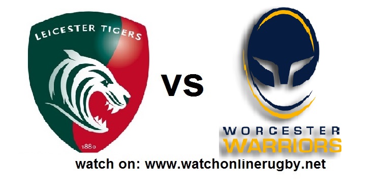 Live Streaming Tigers VS Warriors