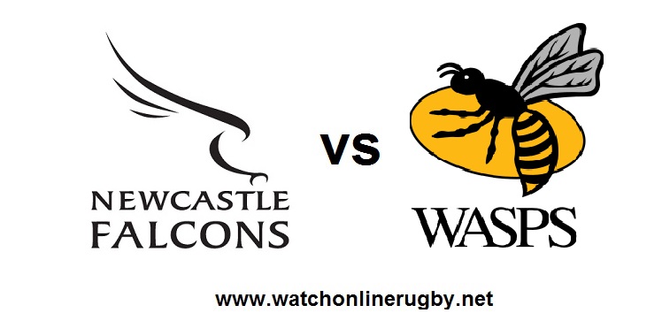 Newcastle Falcons VS Wasps Live Stream