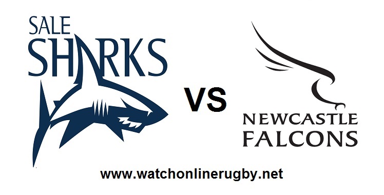 Live 2018 Sharks VS Newcastle Falcons