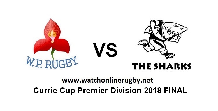 WP VS Sharks Live stream Final