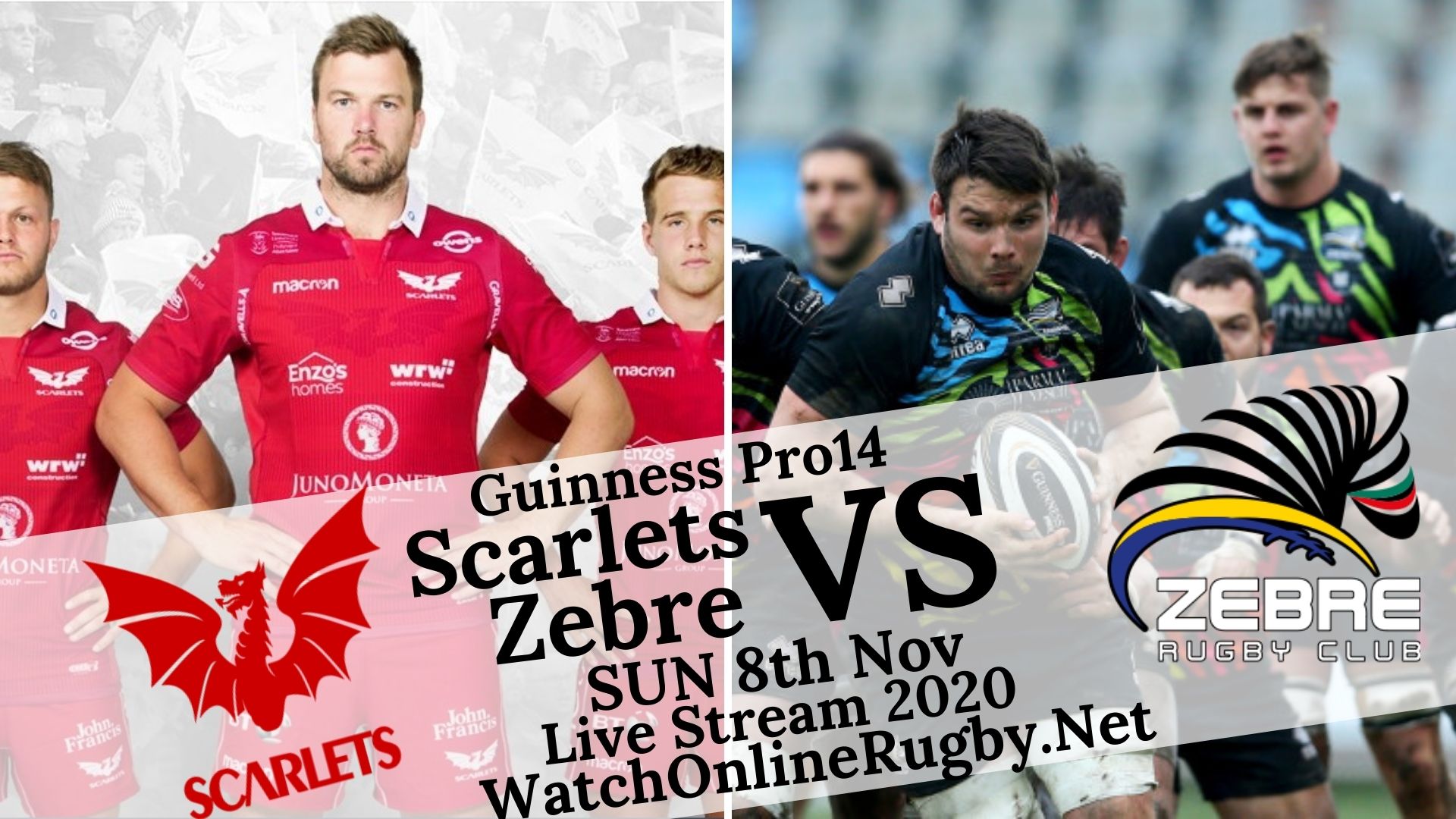 Live Stream Scarlets vs Zebre