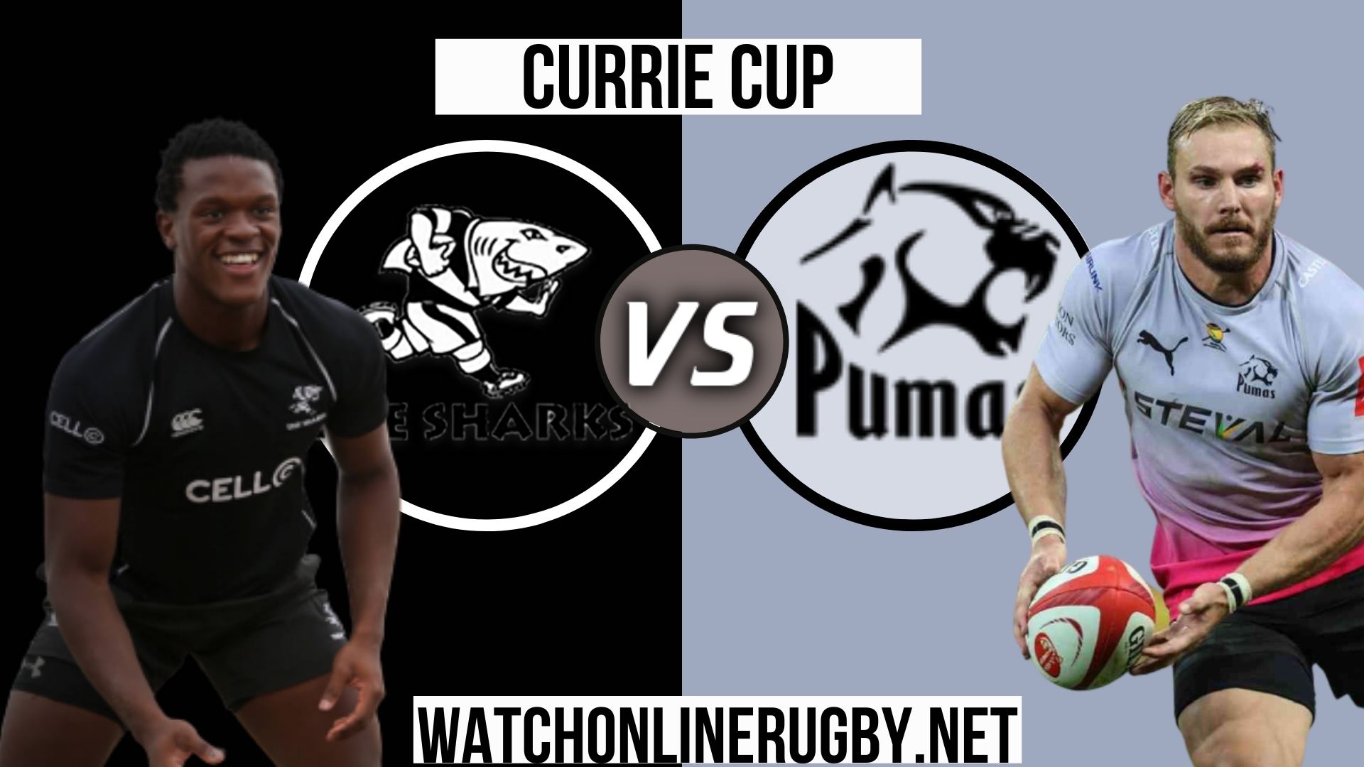 Pumas Vs Sharks Live Stream Currie Cup