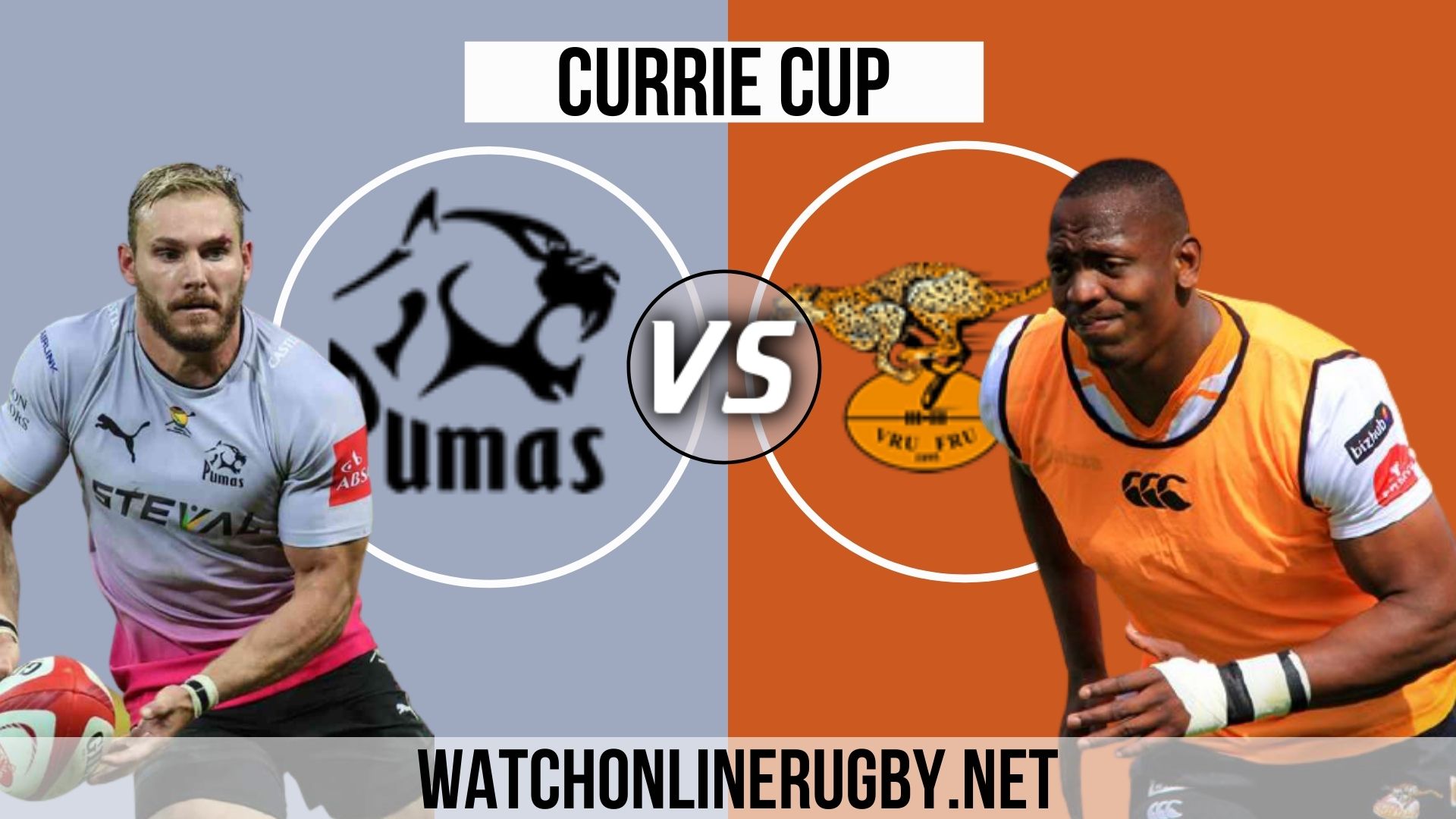 Live Stream Cheetahs VS Pumas