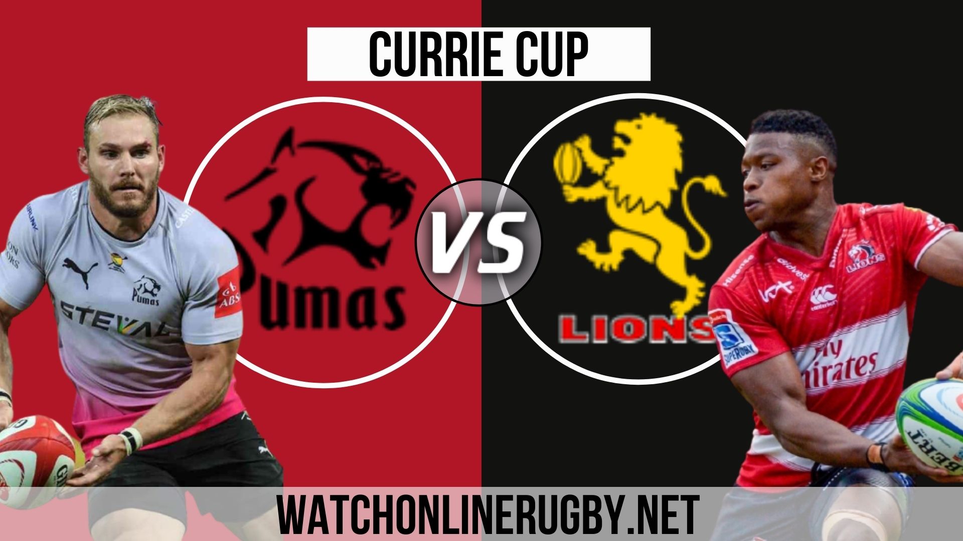 Live Rugby Pumas VS Lions