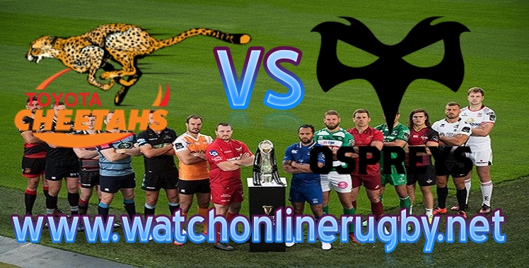 Live Streaming Ospreys VS Cheetahs