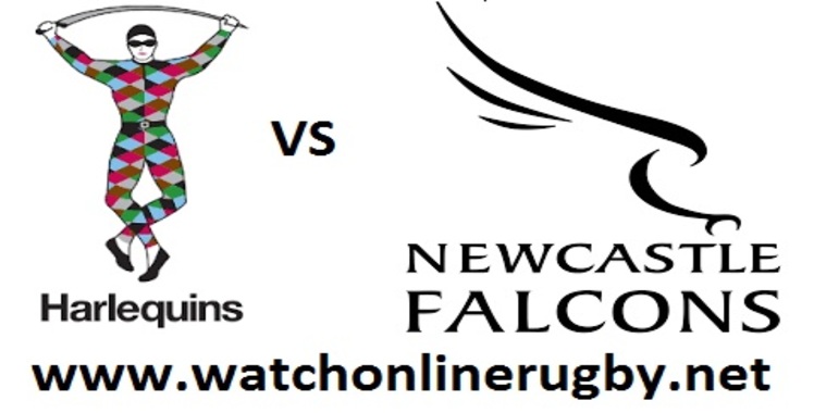 Live Harlequins VS Newcastle Falcons Online