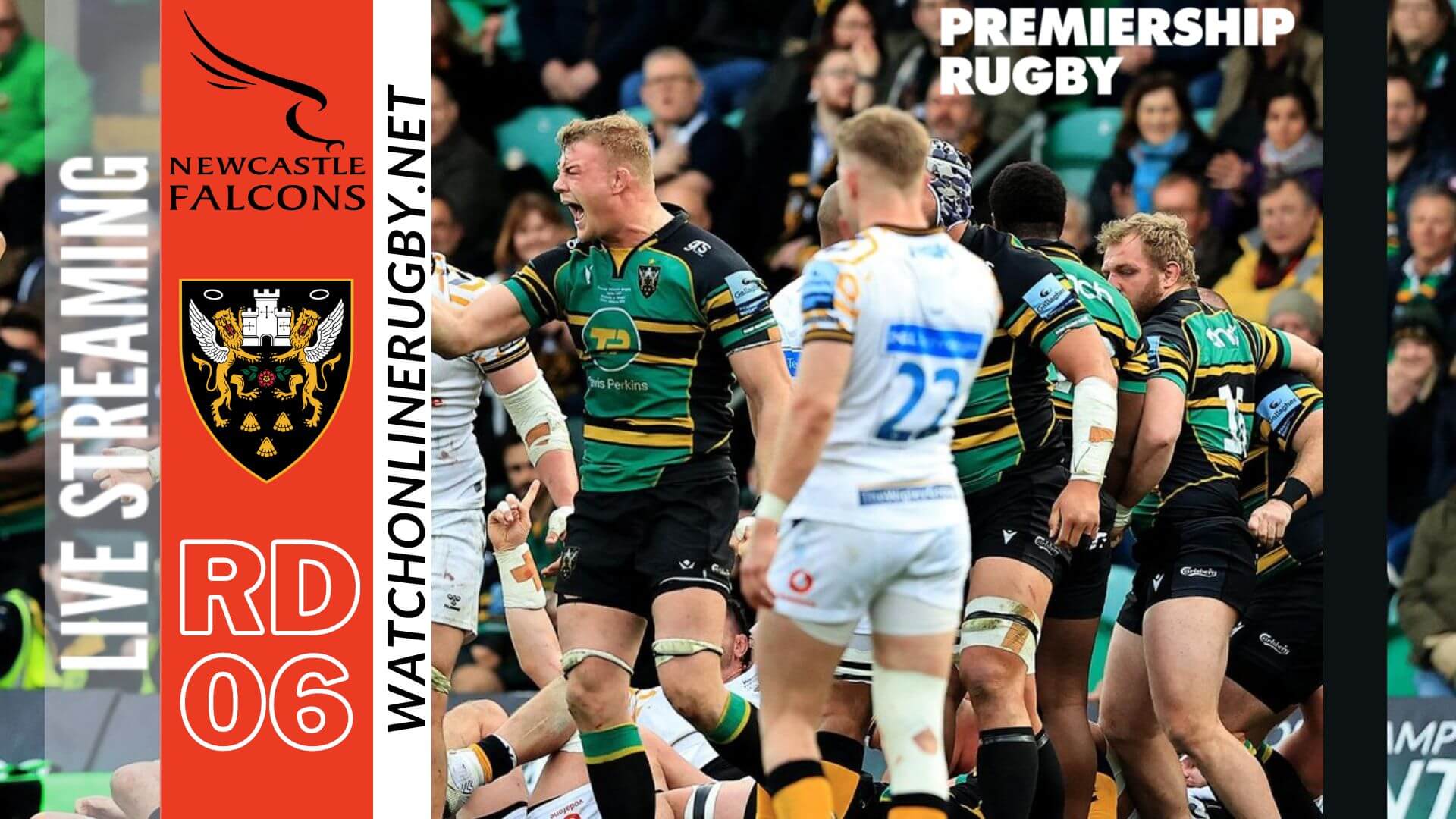 Northampton Vs Newcastle Falcons Rugby Live