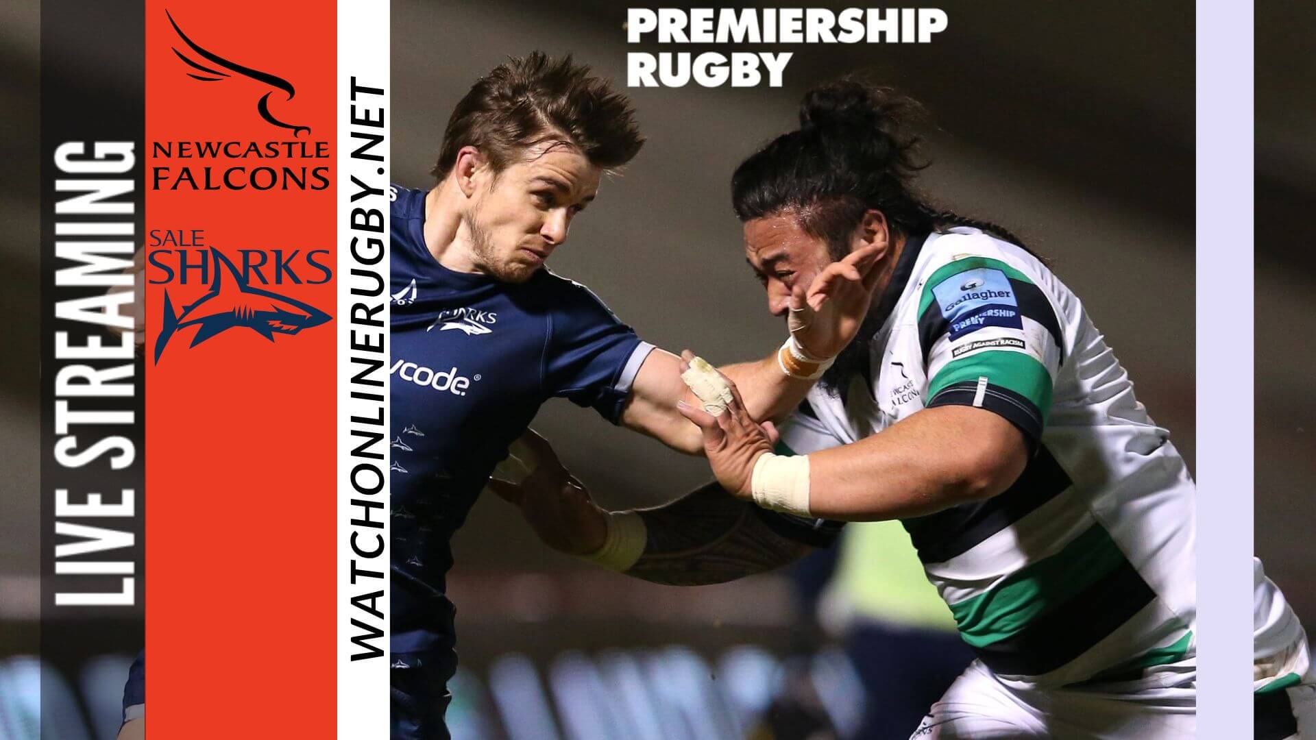 Online Sale Sharks Vs Newcastle Falcons Live