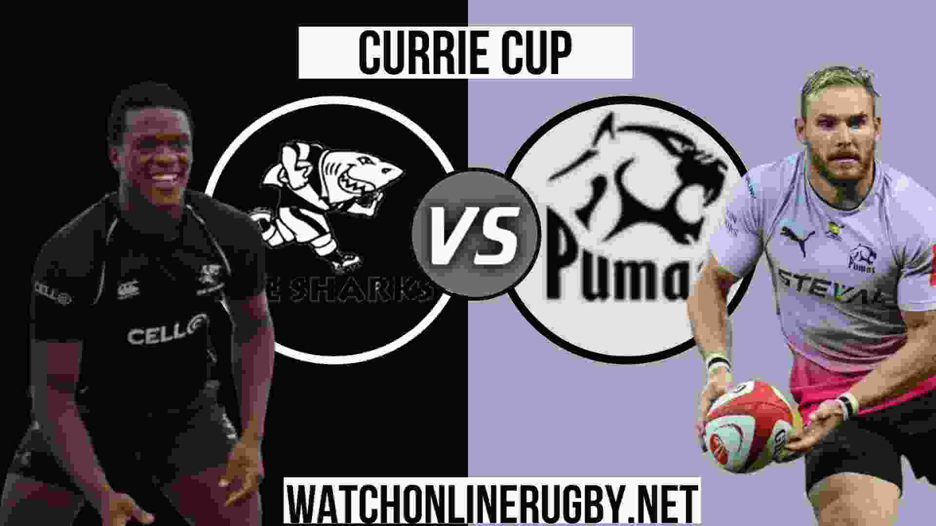 Pumas Vs Sharks Live Stream Currie Cup