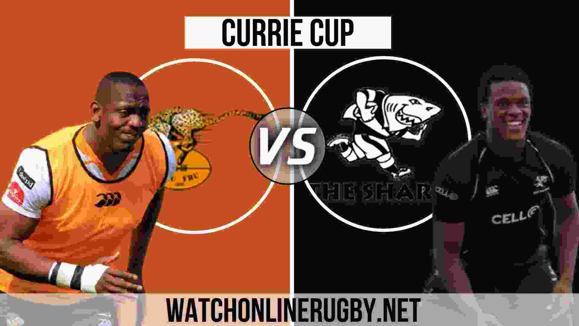 Cheetahs Vs Sharks Live Telecast