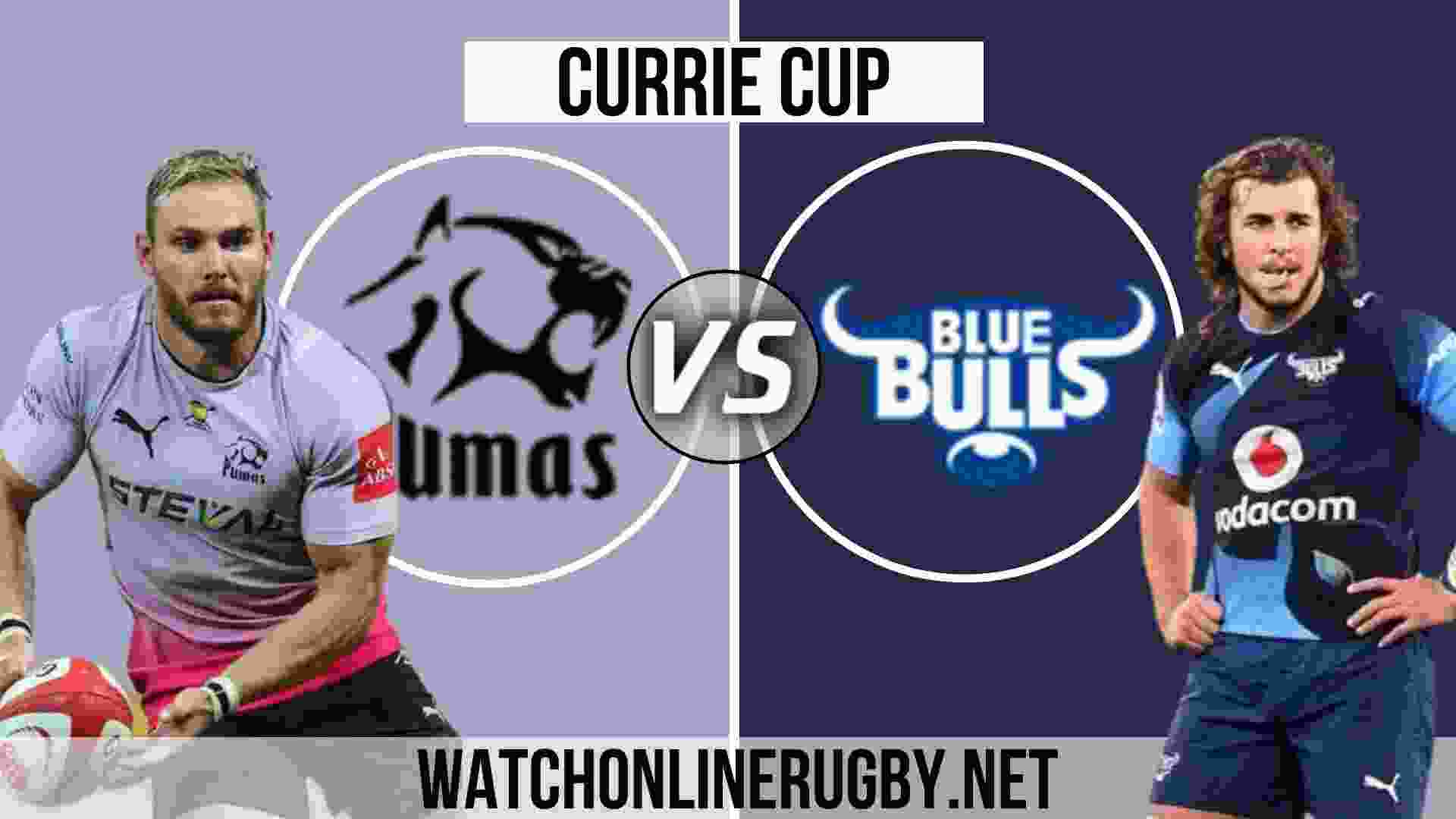 Pumas VS Blue Bulls Live Stream