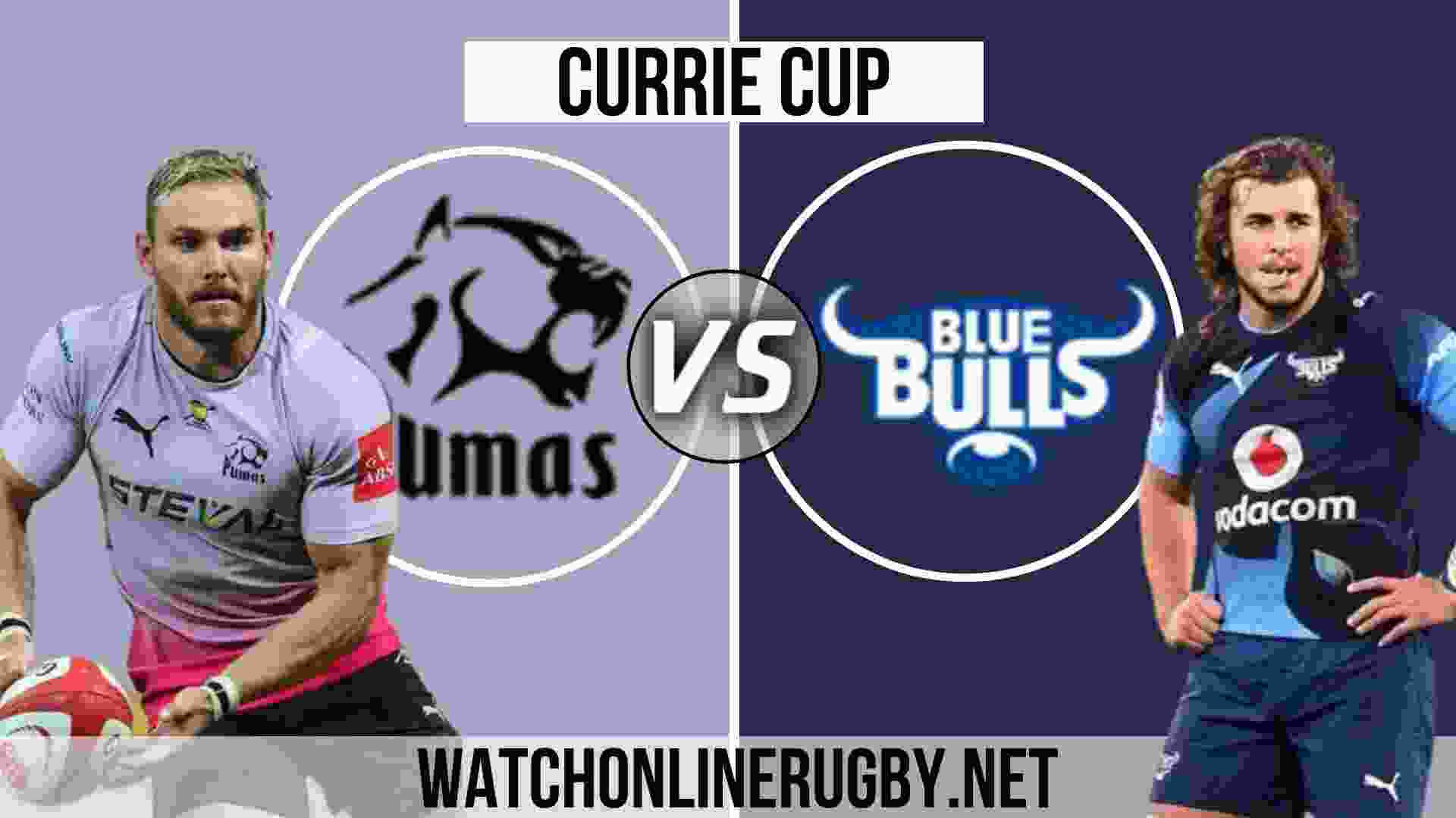 blue bulls rugby live stream