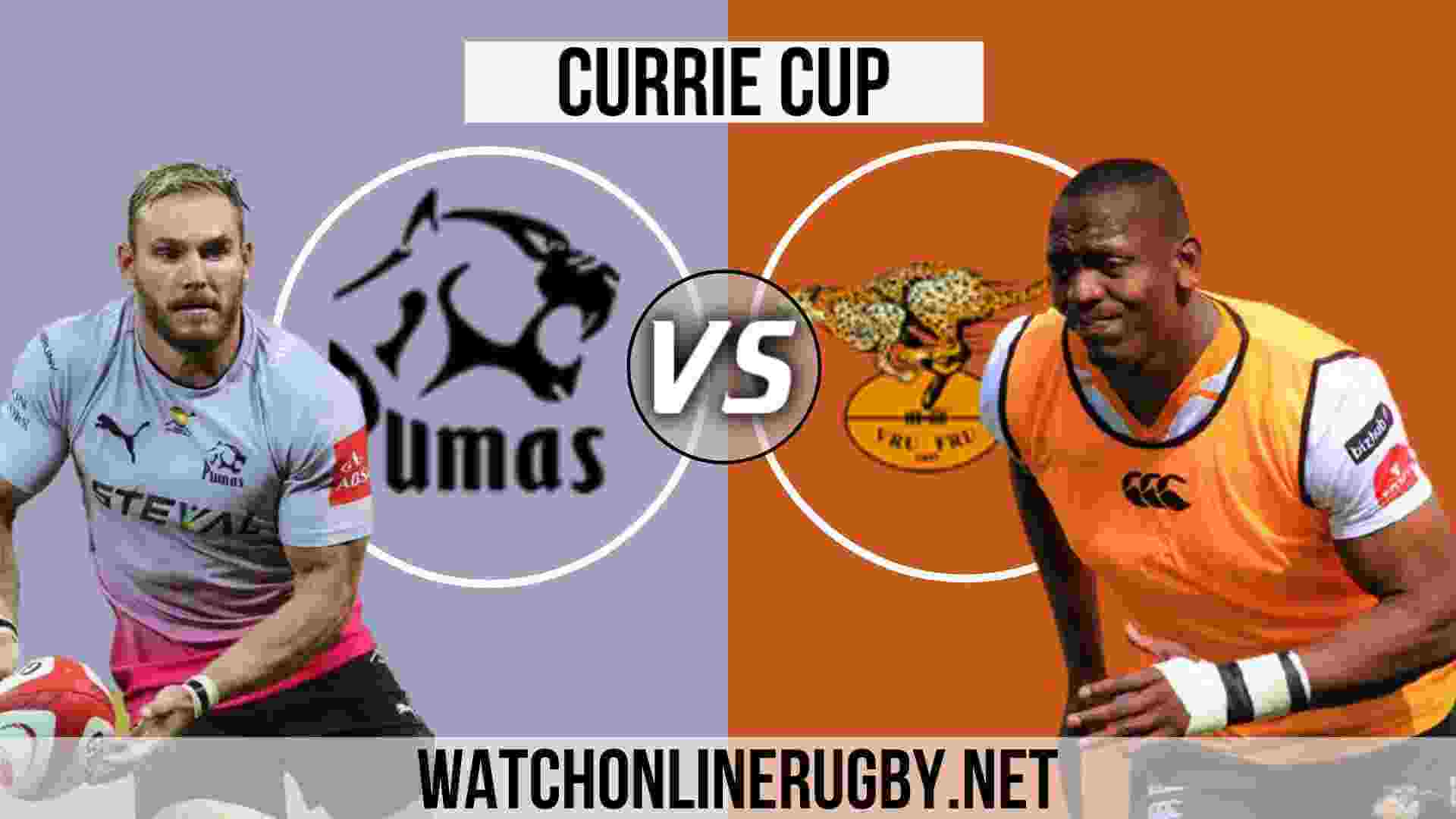 Live Stream Cheetahs VS Pumas