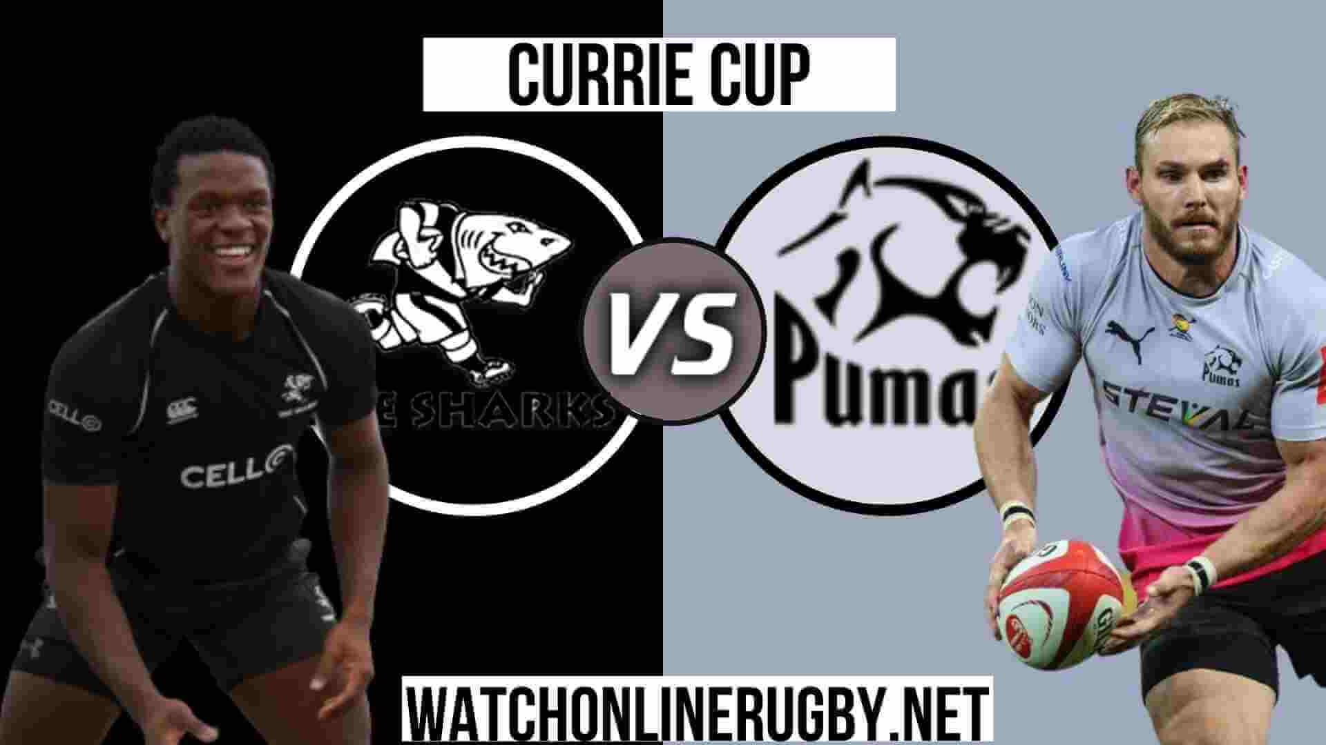 Natal Sharks VS Pumas Live