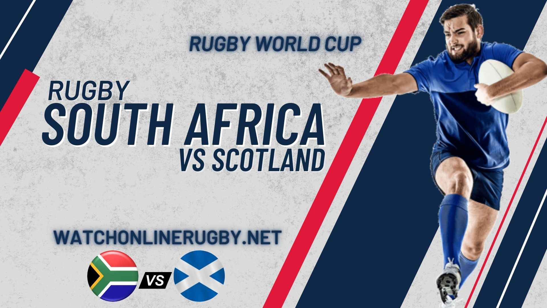 Scotland VS South Africa Live Rugby
