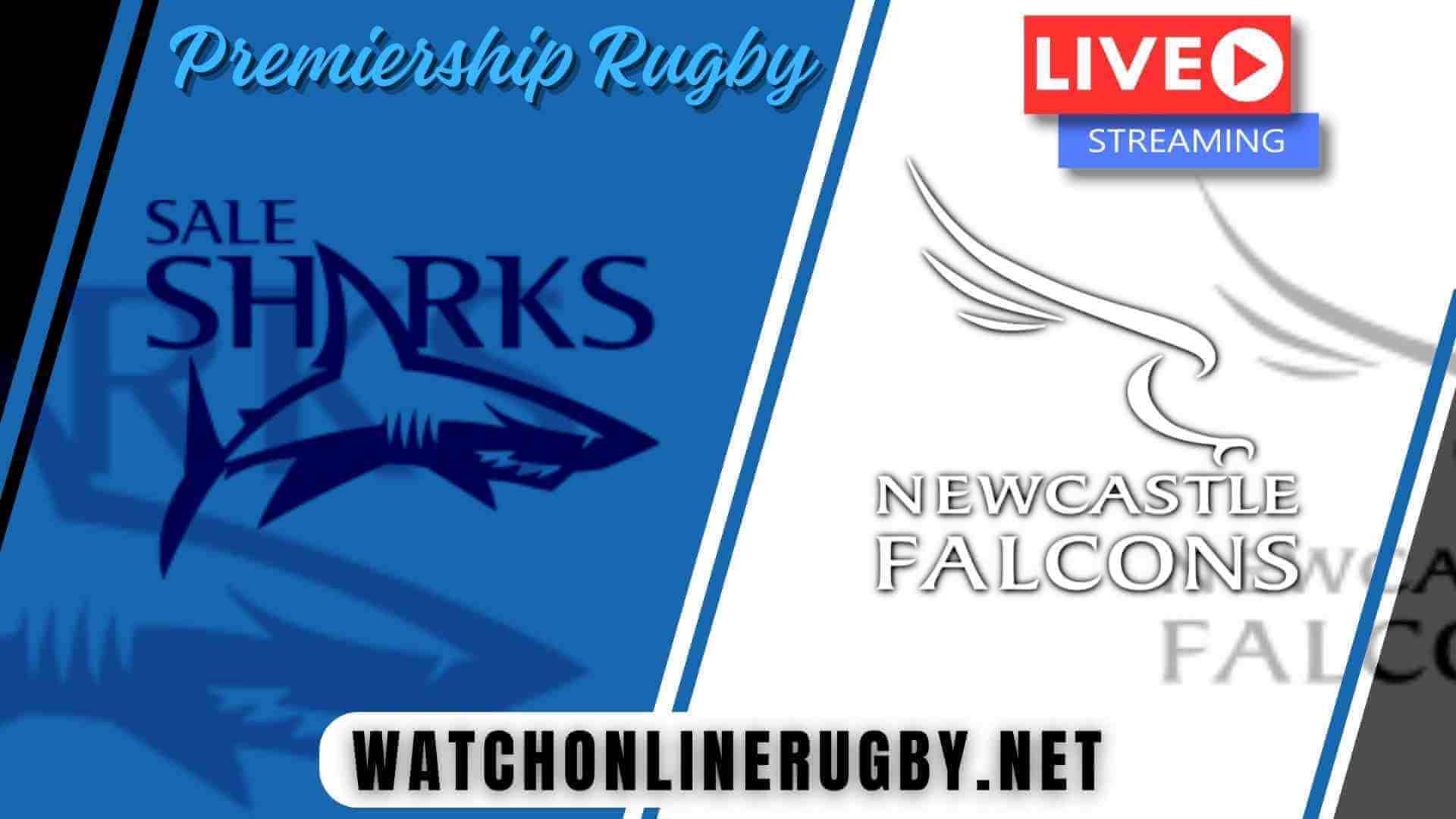 Online Sale Sharks Vs Newcastle Falcons Live