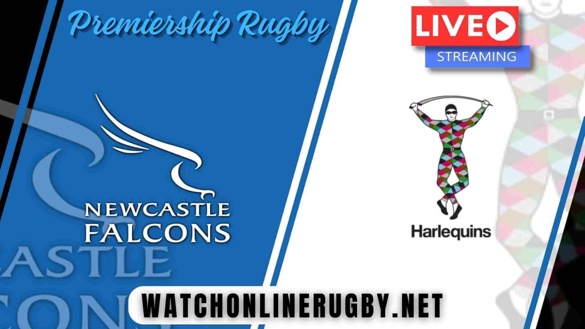 Newcastle Falcons Vs Harlequins Rugby Live