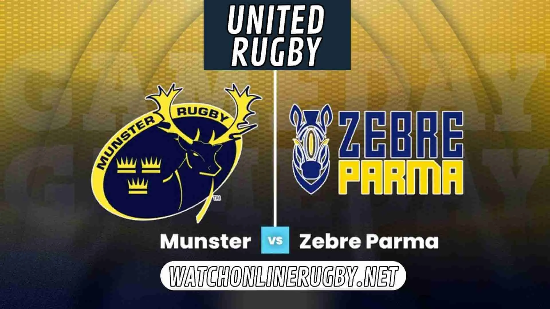 Live Rugby Zebre Vs Munster