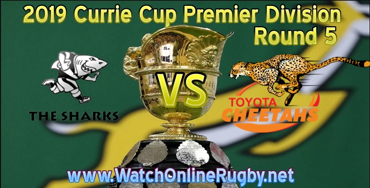 Natal Sharks Vs Free State Cheetahs Live Stream