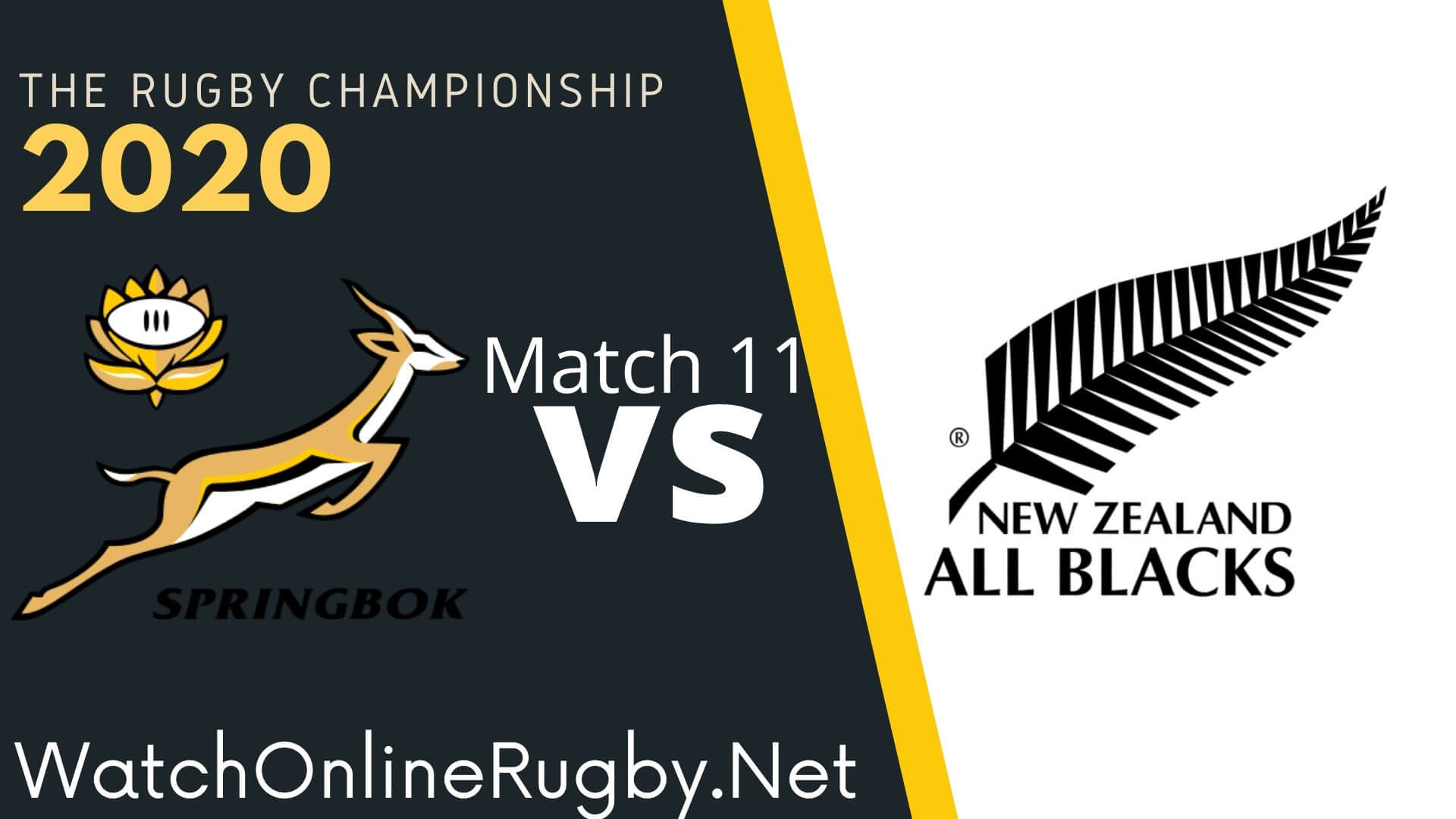 Live South Africa vs New Zealand Rugby Online