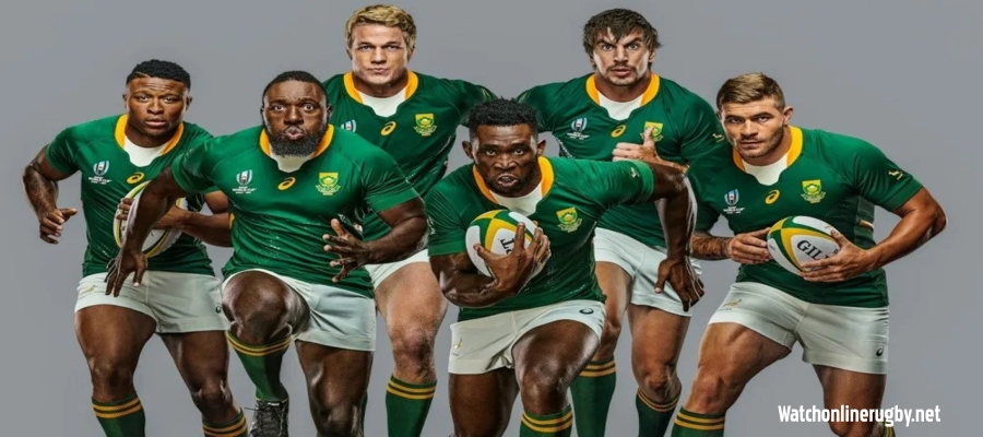 South African Rugby team will join in European Champions Cup Next Year