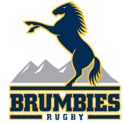 Brumbies 