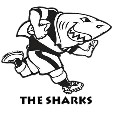 Bulls Vs Sharks Live Stream 2023 | RD 07 United Rugby Championship