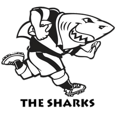 Glasgow Warriors Vs Sharks Live Stream 2024 RD 14 United Rugby Championship