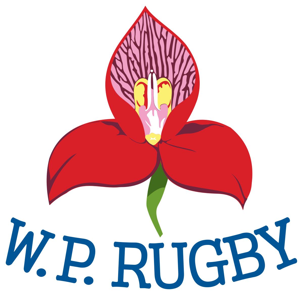  Western Province 