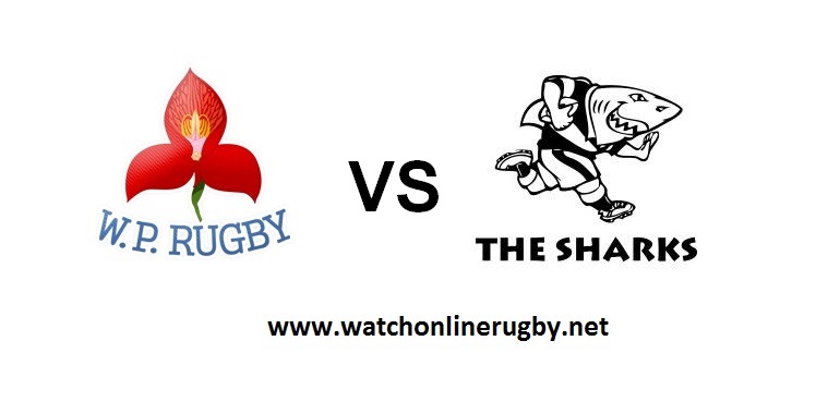 live-streaming-w-province-vs-sharks