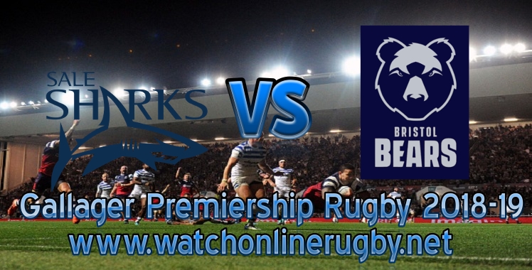 sale-sharks-vs-bears-live-streaming