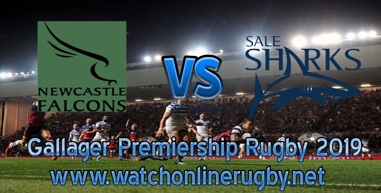 falcons-vs-sharks-2019-rugby-live-stream