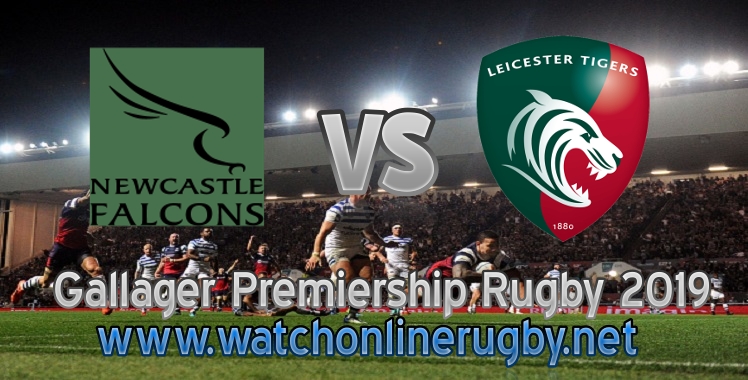 falcons-vs-tigers-2019-rugby-live-stream