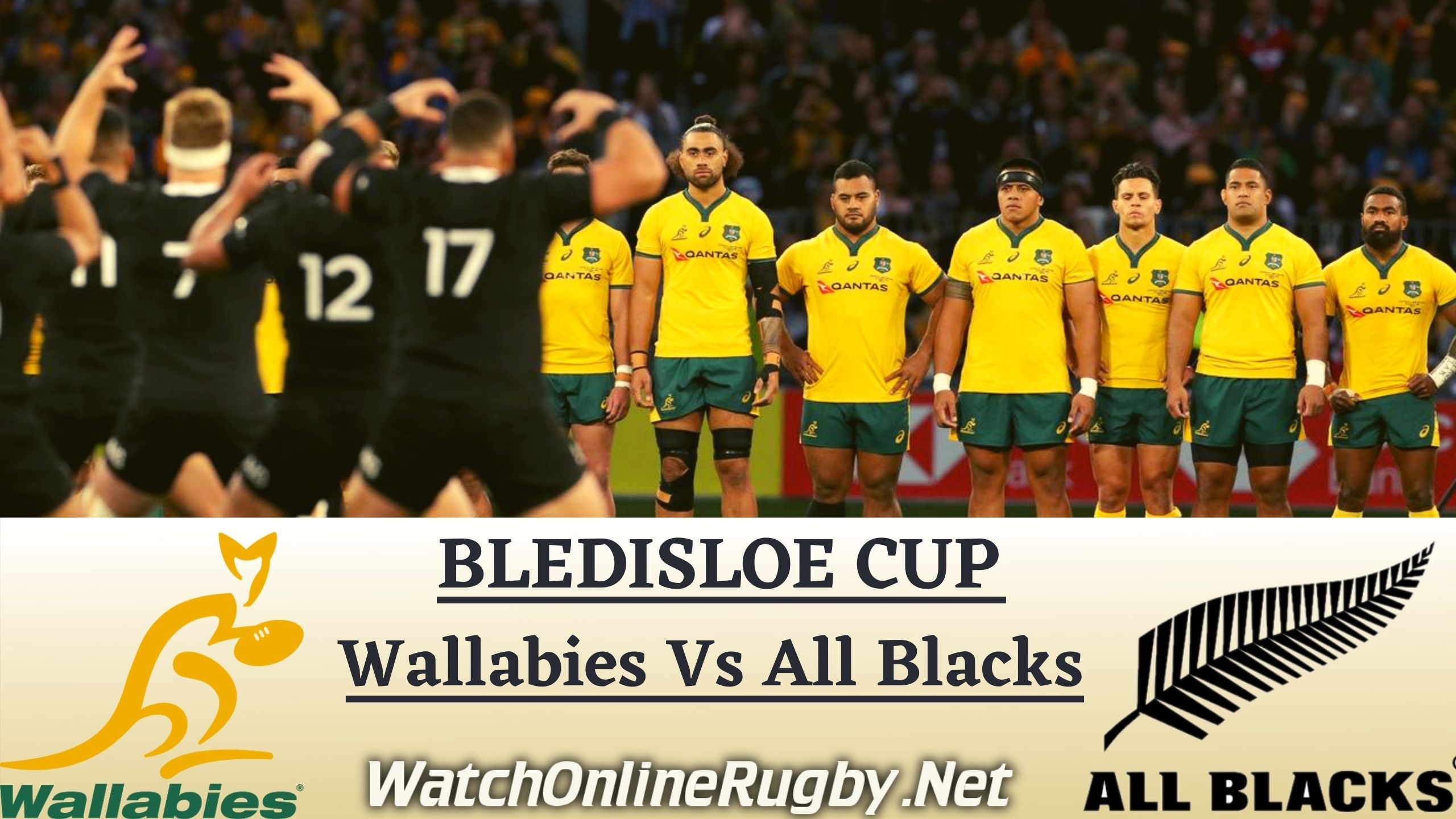 Wallabies vs All Blacks Bledisloe Cup 2020