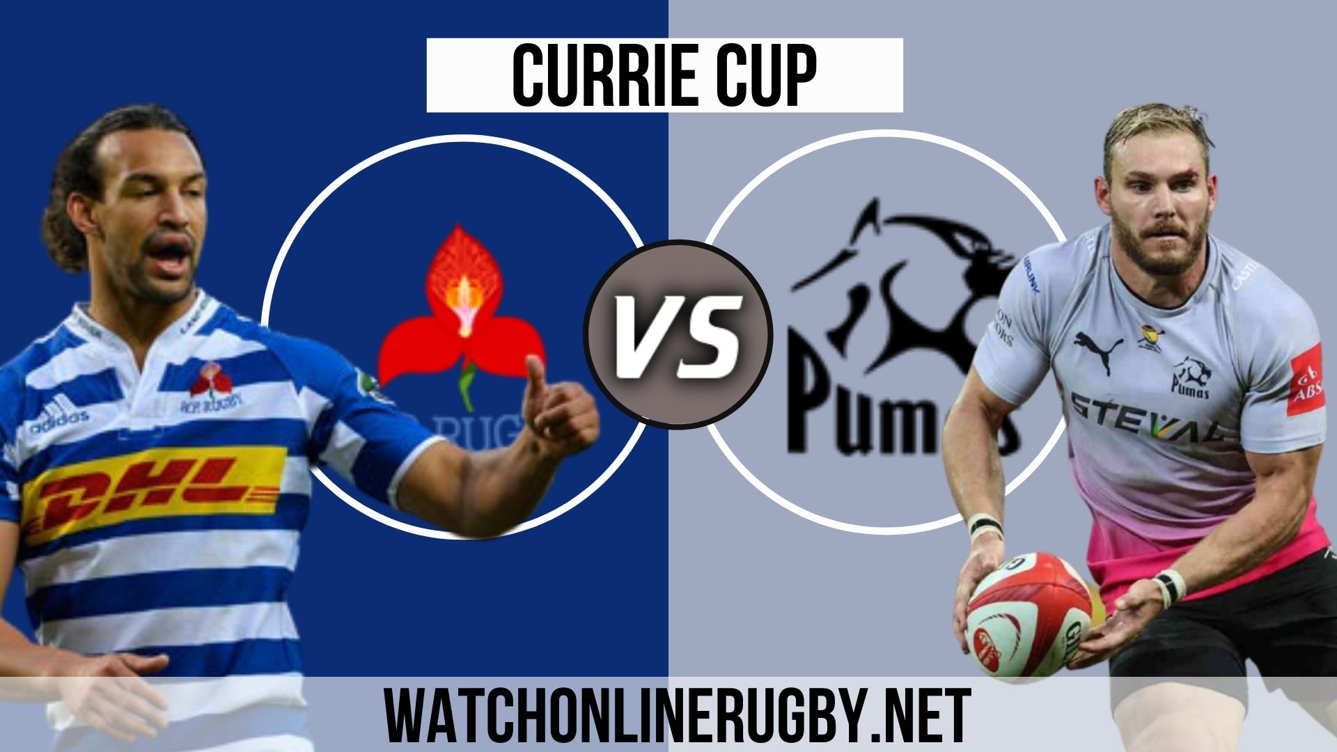 pumas currie cup