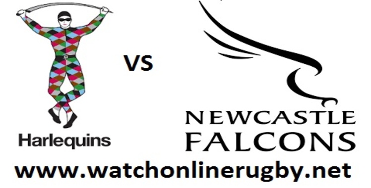 live-harlequins-vs-newcastle-falcons-online