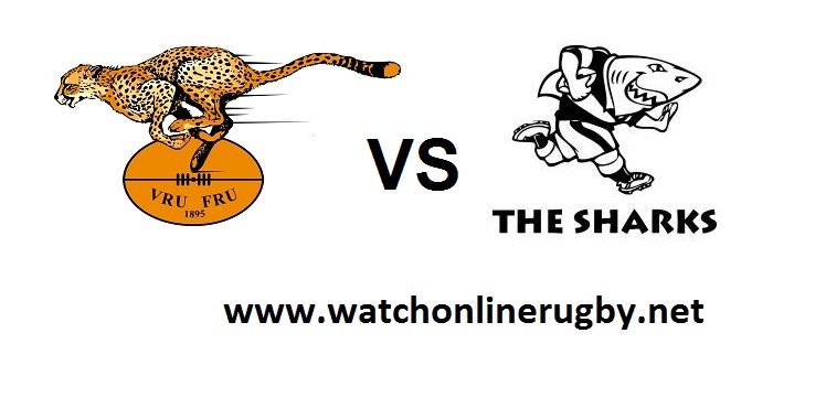 fs-cheetahs-vs-natal-sharks-live-streaming