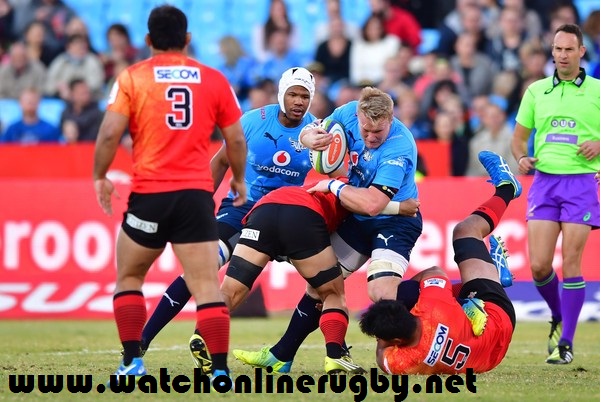 Bulls vs Sunwolves Live