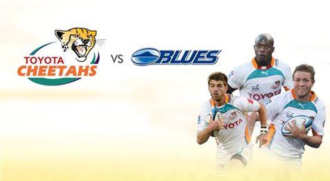 Cheetahs vs Blues live