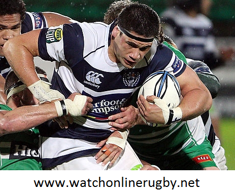 Counties Manukau vs Auckland Live Online