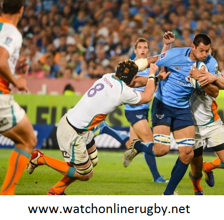 Golden Lions vs Free State Cheetahs Rugby Live Stream