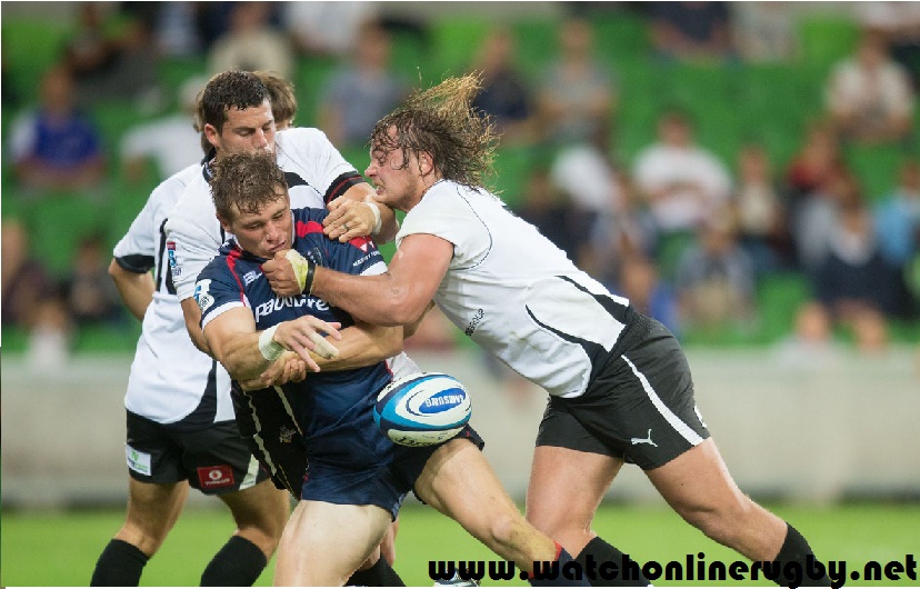 Kings vs Rebels Live 