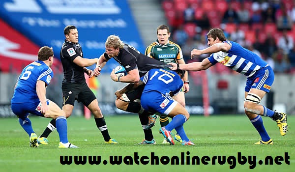 Kings vs Stormers Live