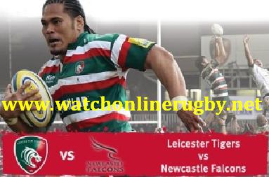Leicester Tigers vs Newcastle Falcons live