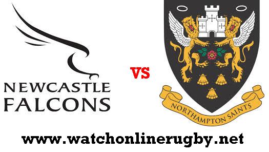 Northampton vs Newcastle Falcons