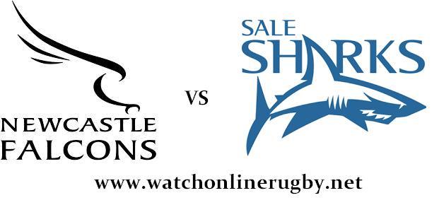 Sale Sharks vs Newcastle Falcons LIVE
