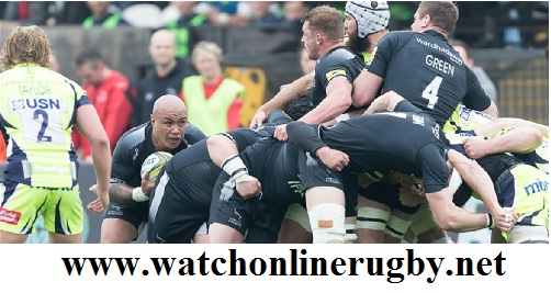 Newcastle Falcons vs Harlequins Live